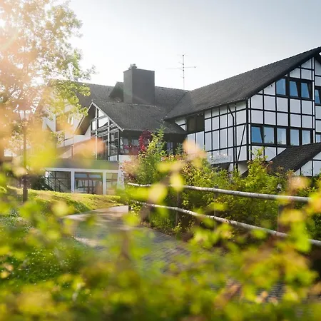 Hébergement de vacances Ferienhaus Ahorn 14 - #127717